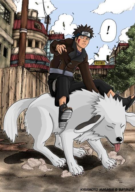 Kiba2.jpg